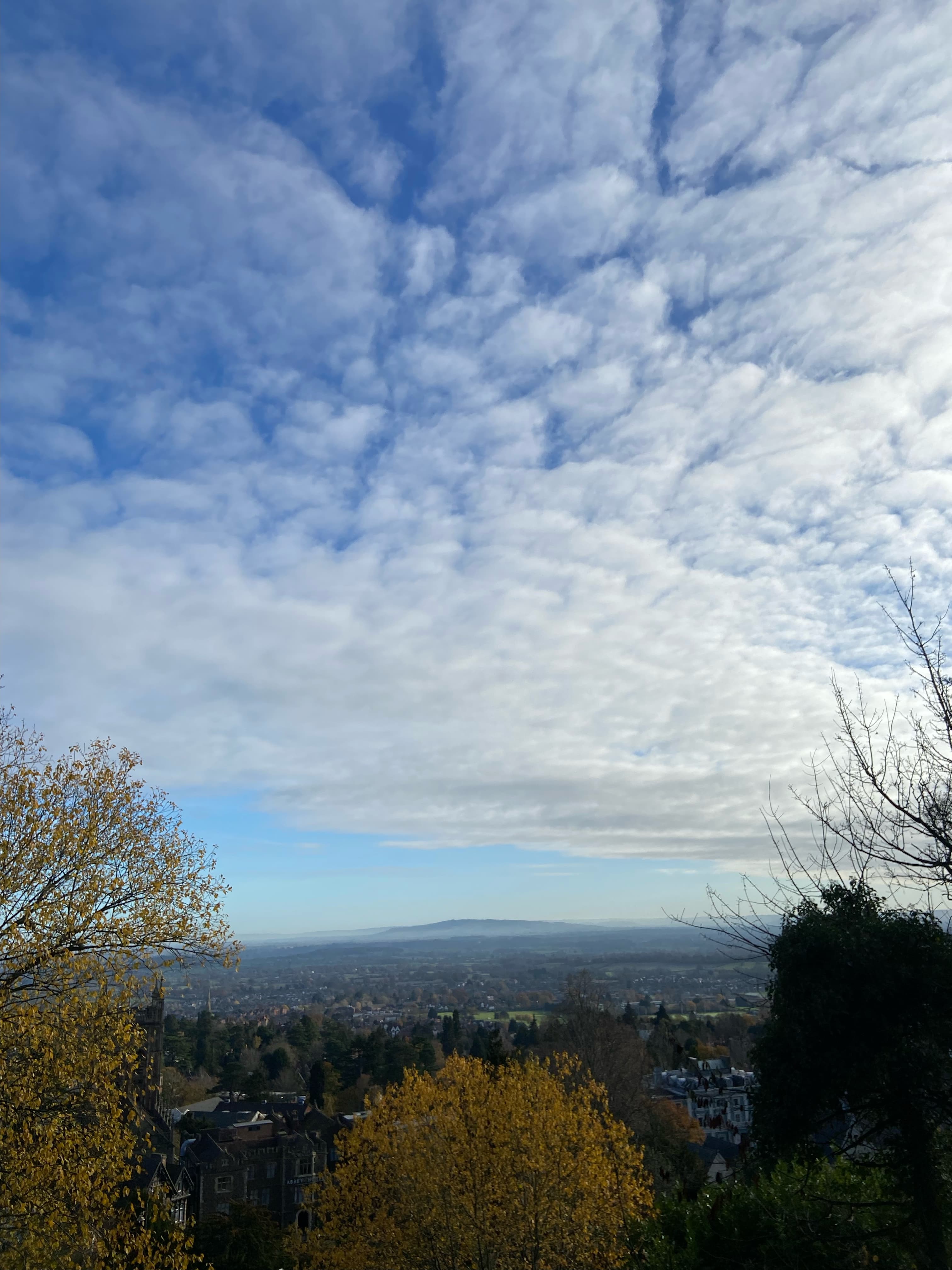 Better Together #16: Questions to Ask When Working With Others with Beverley Bennett