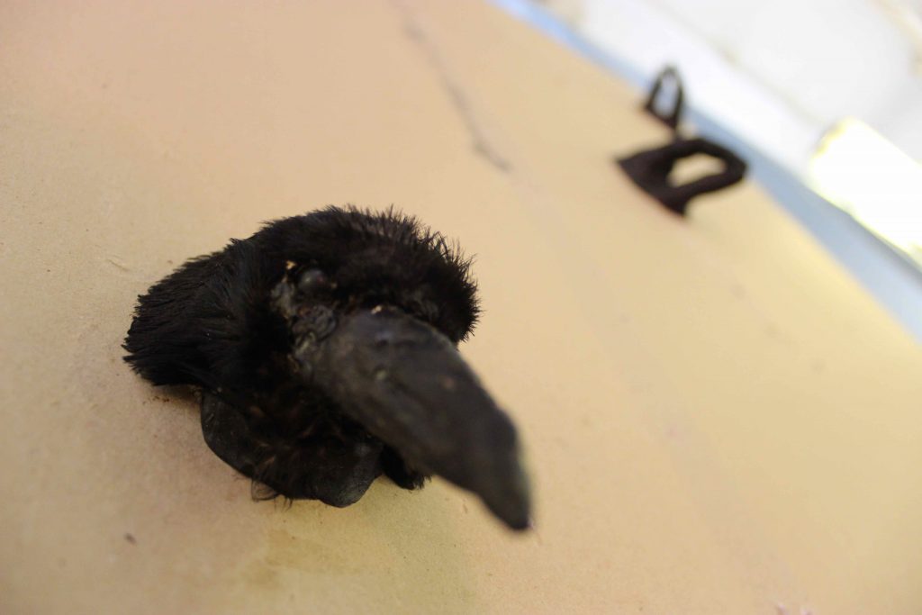 Recollections After A Ramble by Leila Galloway