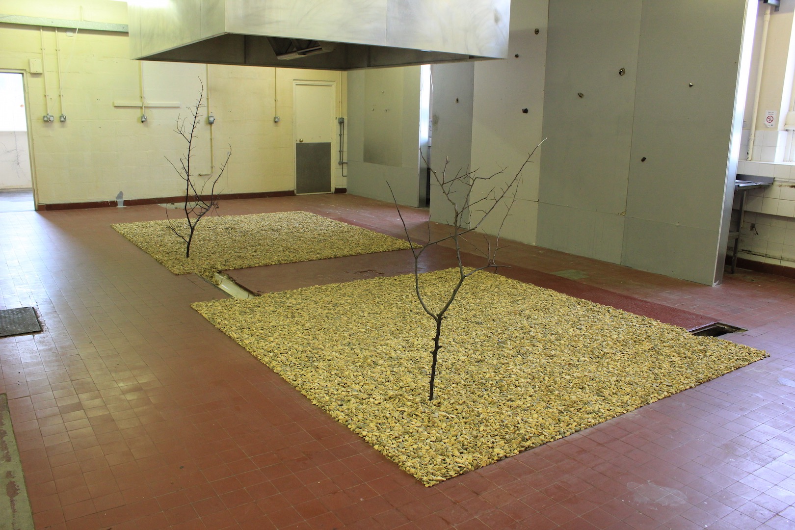 Deodand by Leila Galloway