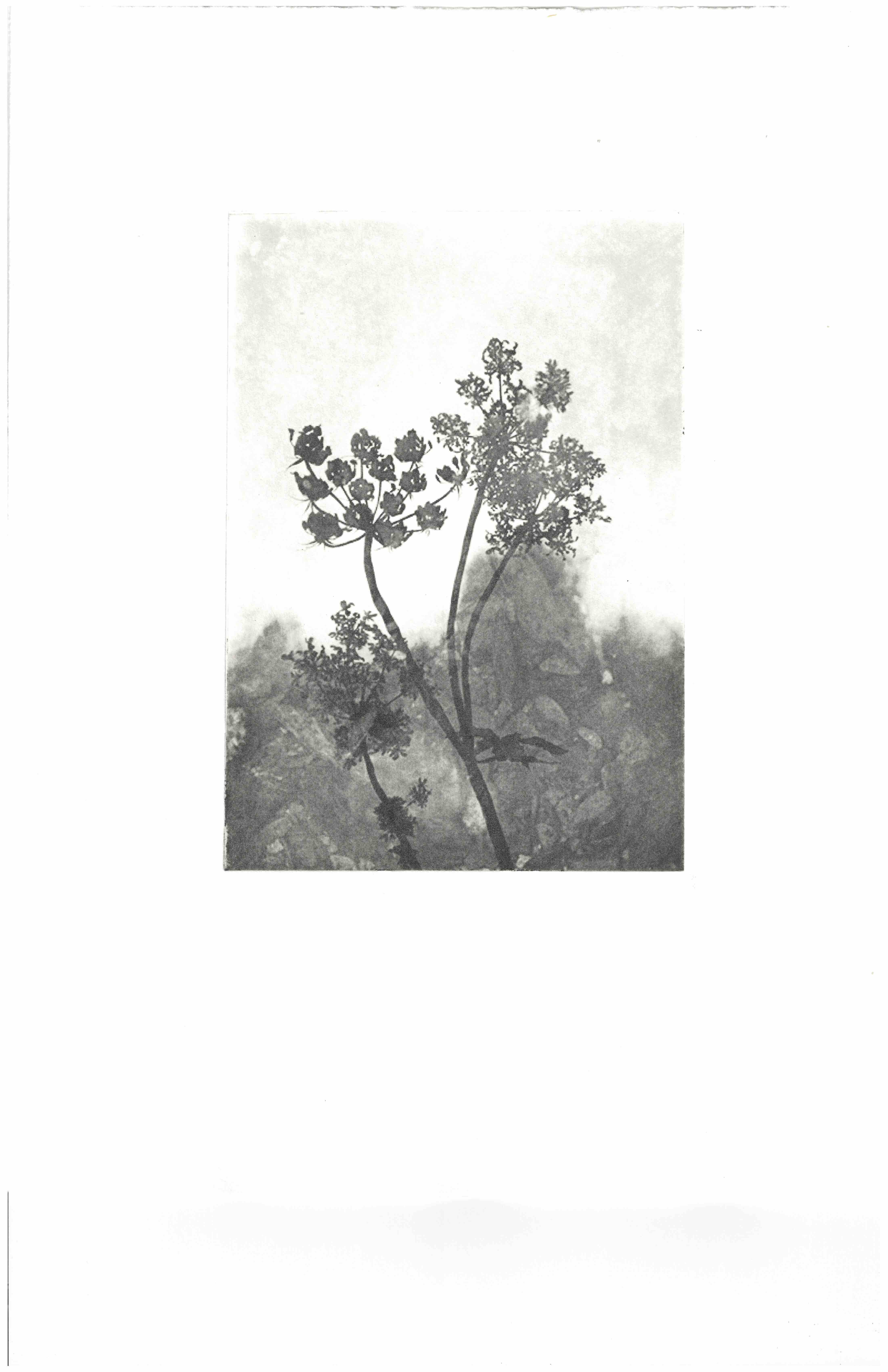 Mita Solanky, River Walk