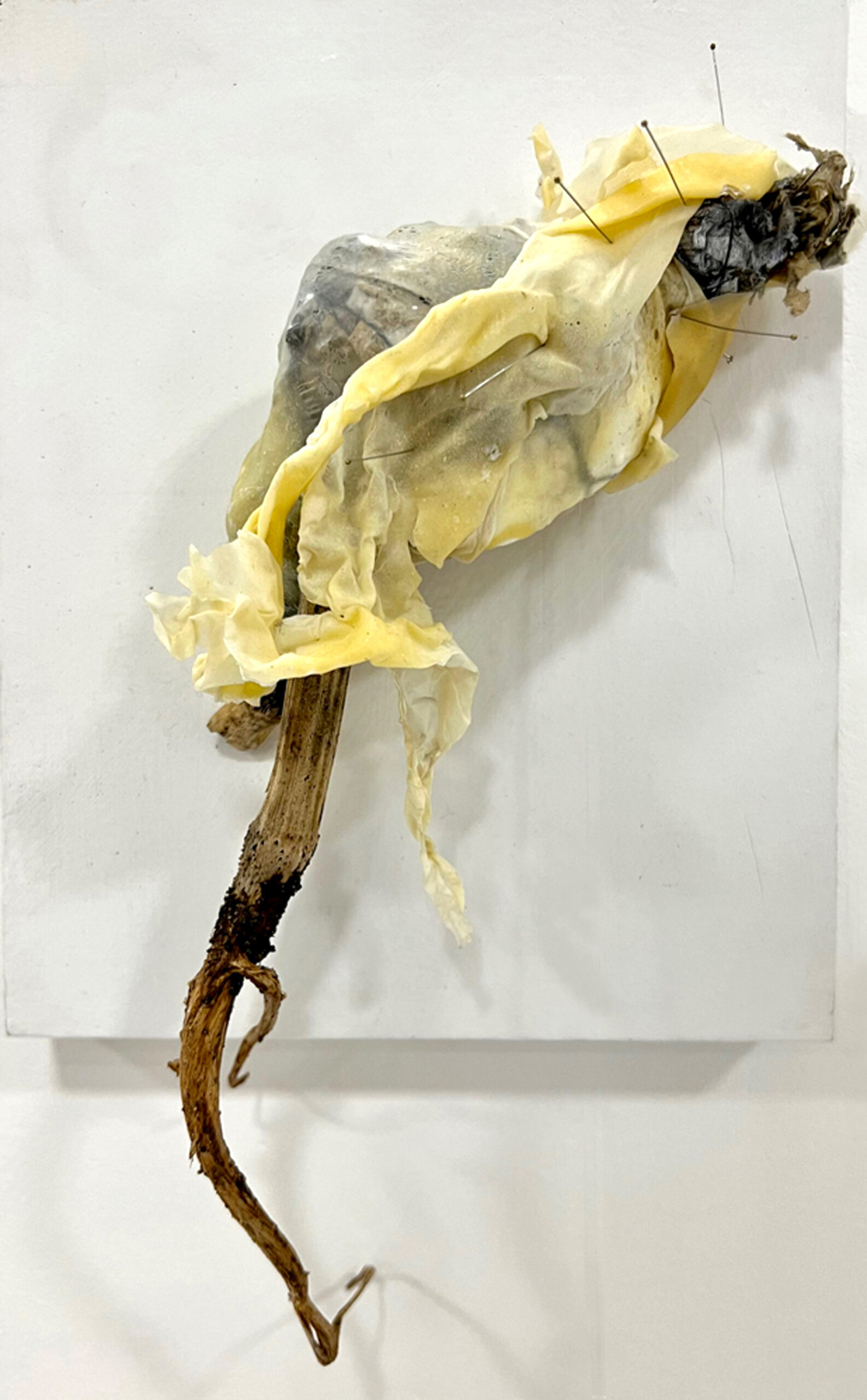 Fiona Carruthers, ThinSkin (2023). Safehouse 2, Copeland Park, Peckham, London