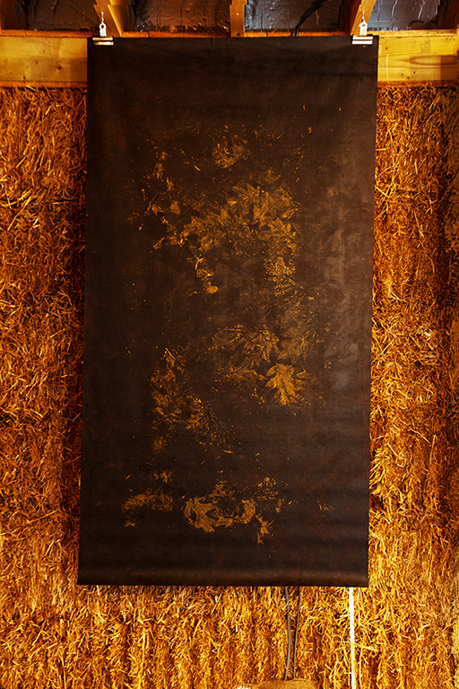 Mita Solanky, Sleep Walks