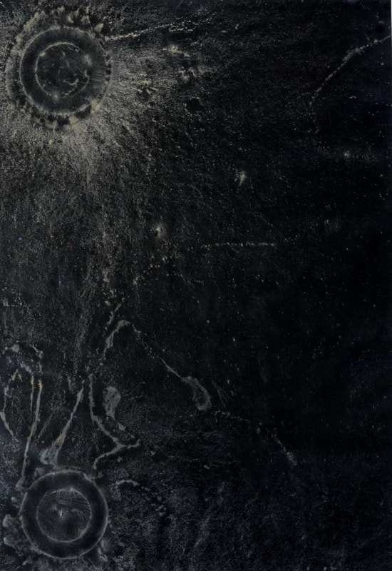 Mita Solanky, Art Histories