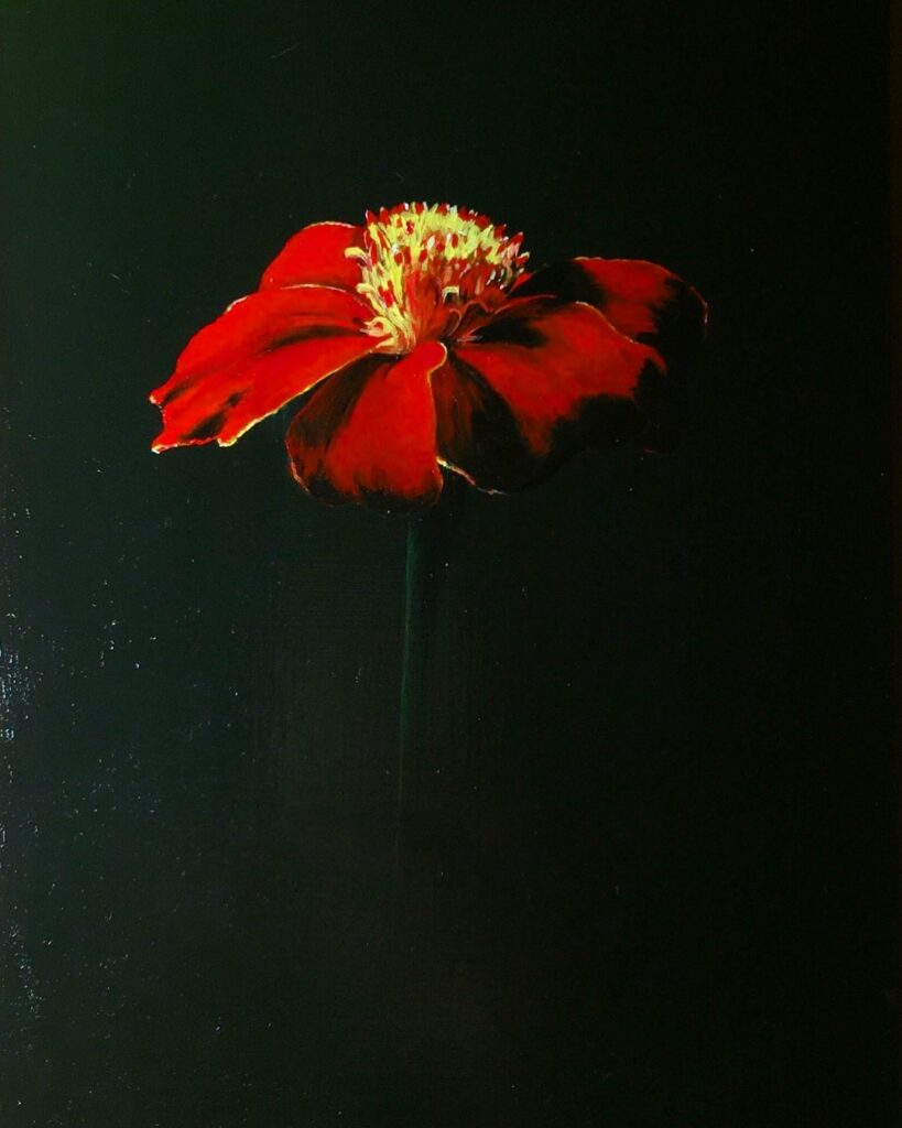 Tagetes, oil on board, 2018