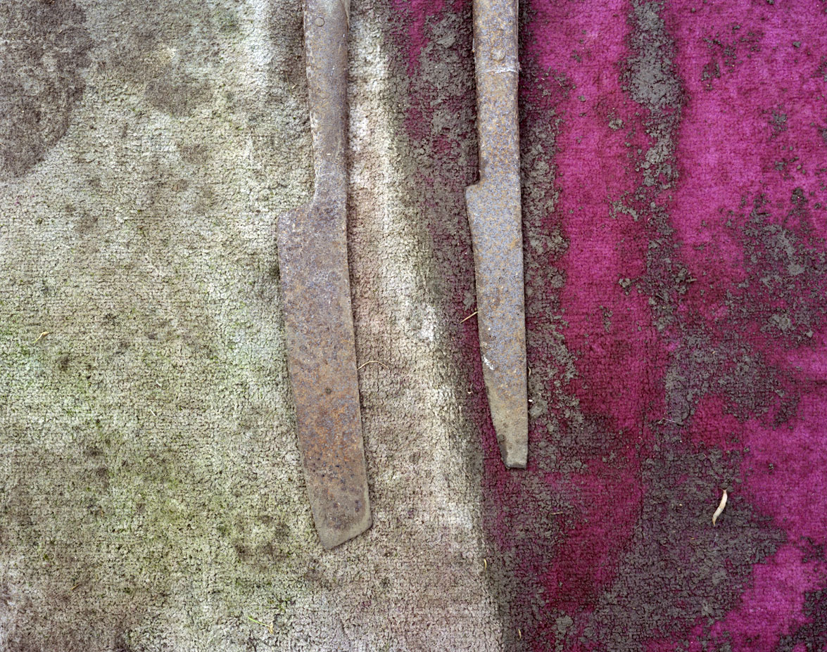 Lesley Farrell, Scythe Blades, 2016