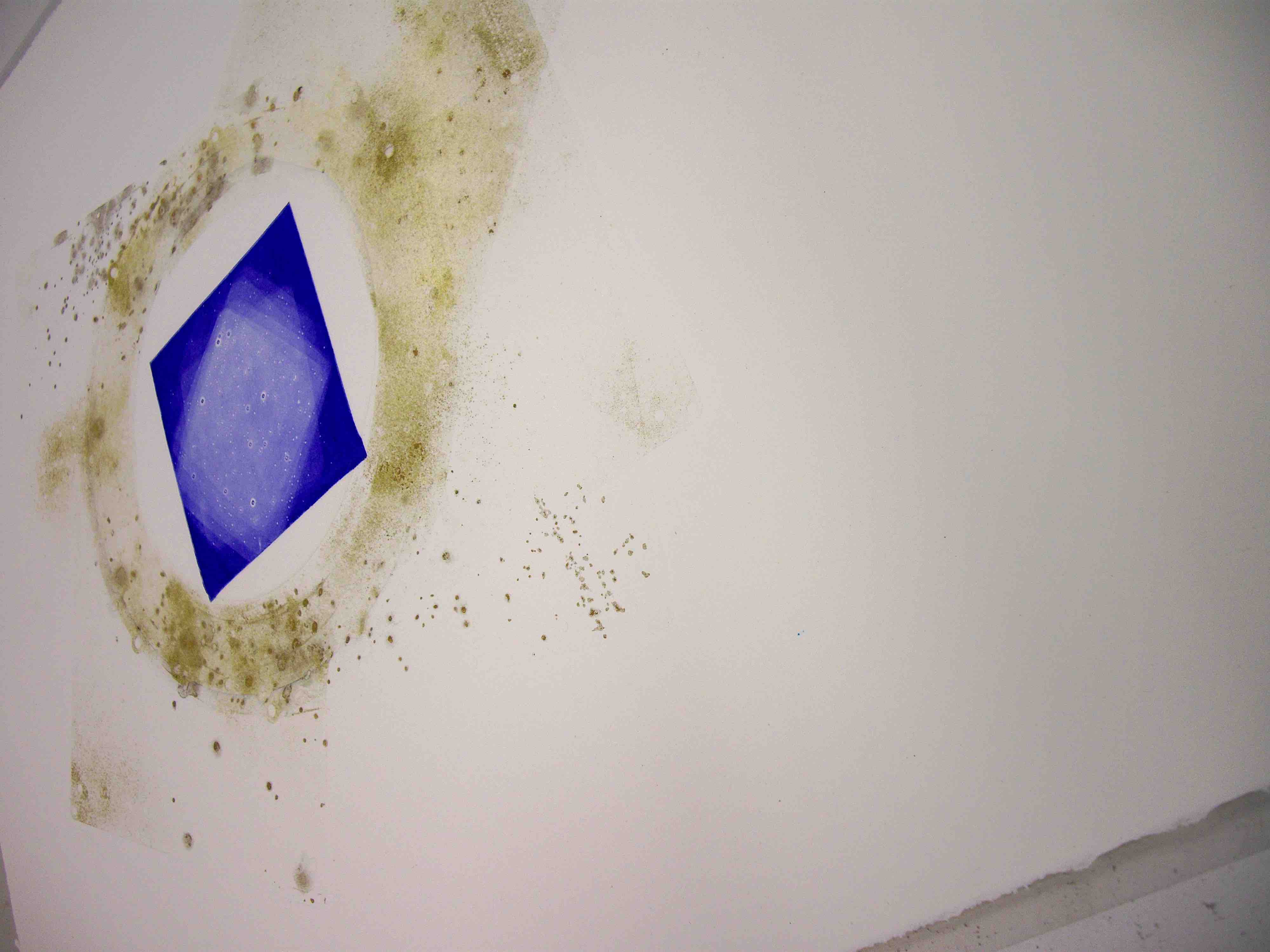 Mita Solanky, Brief Encounters