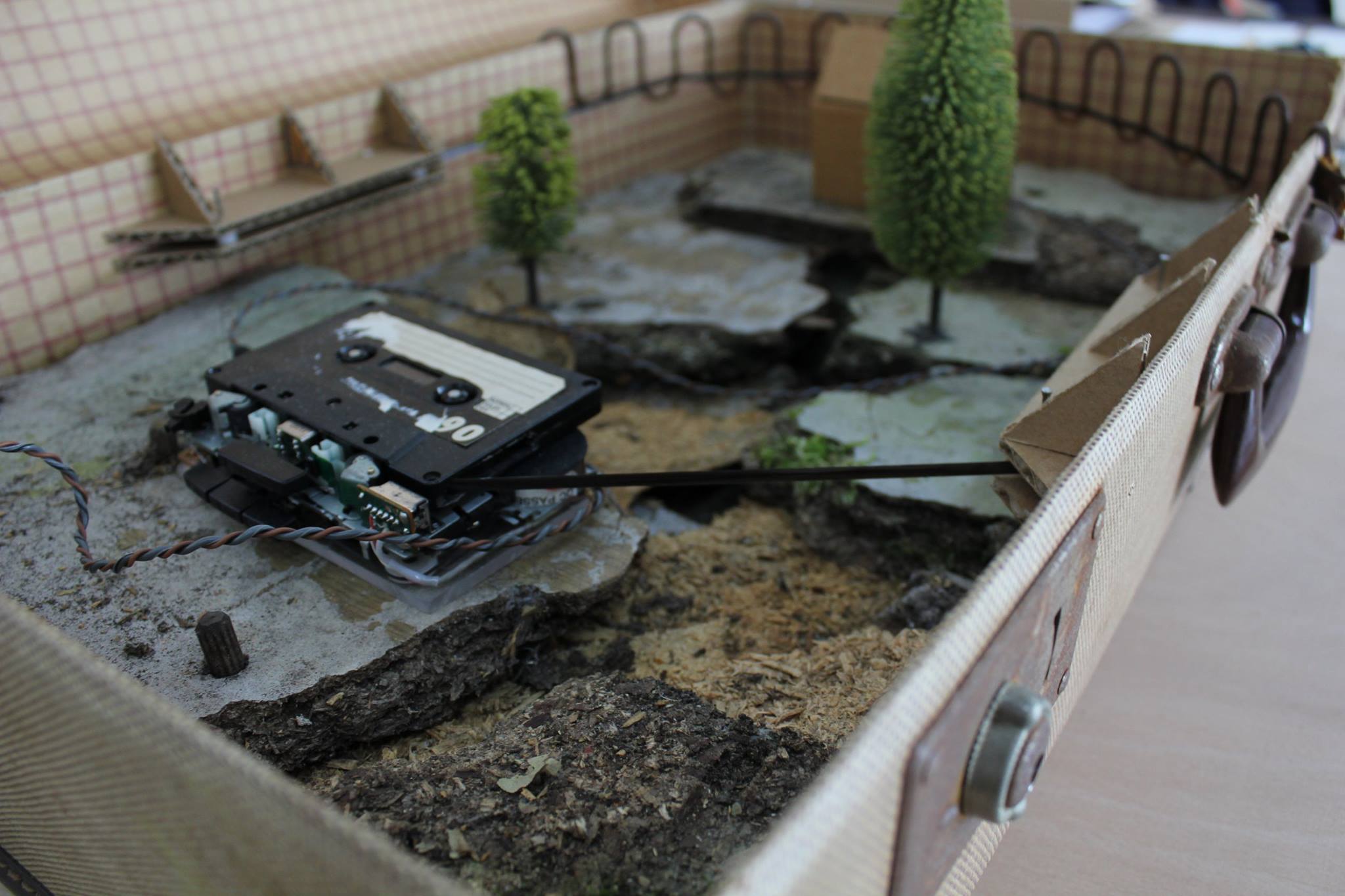 Ross Oliver - pansinister curio