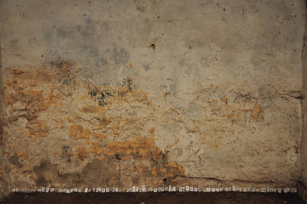 Wittgenstein's Truth