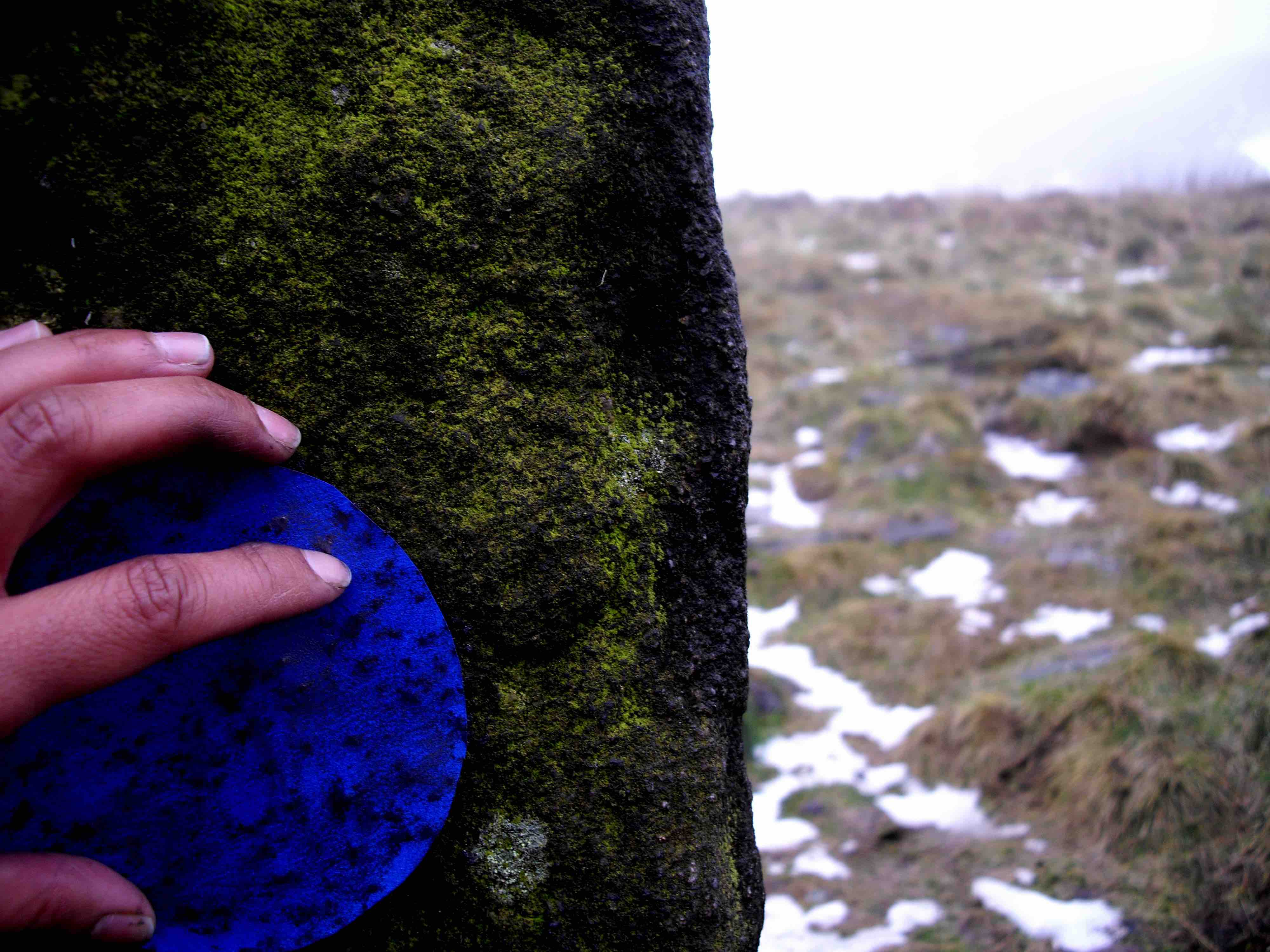 Mita Solanky, Spine Walk