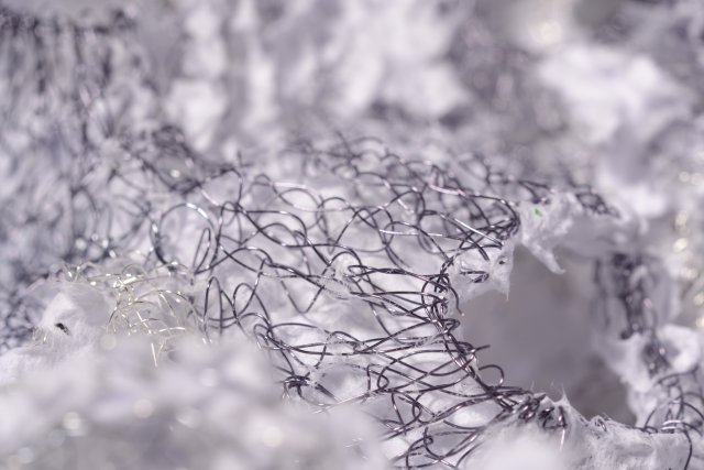 Anna Krystyna Casey Cellular