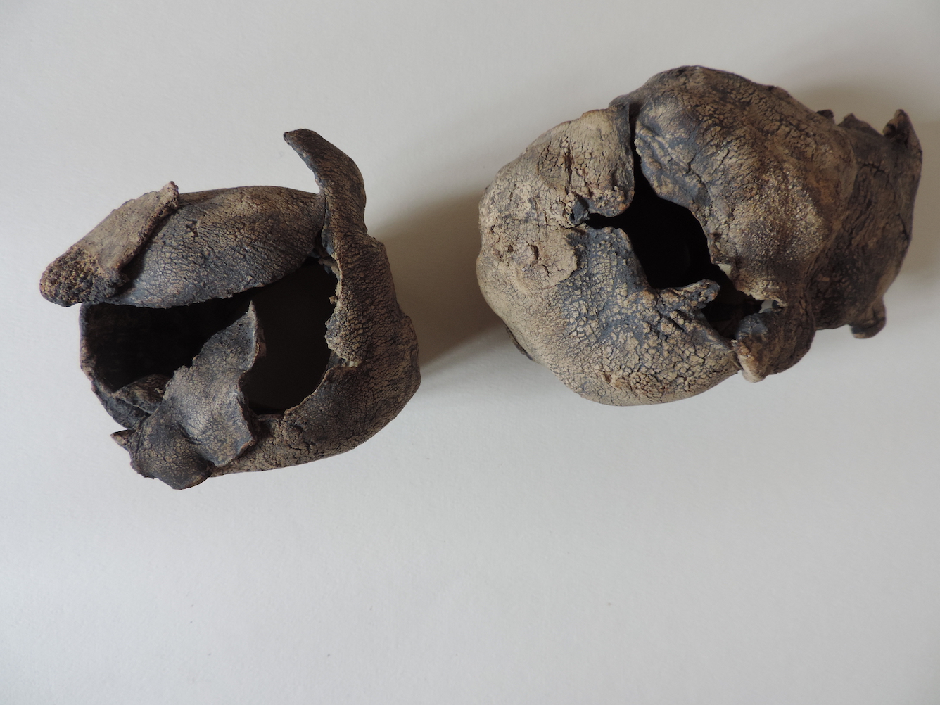 Mining Cores by Diane Hall