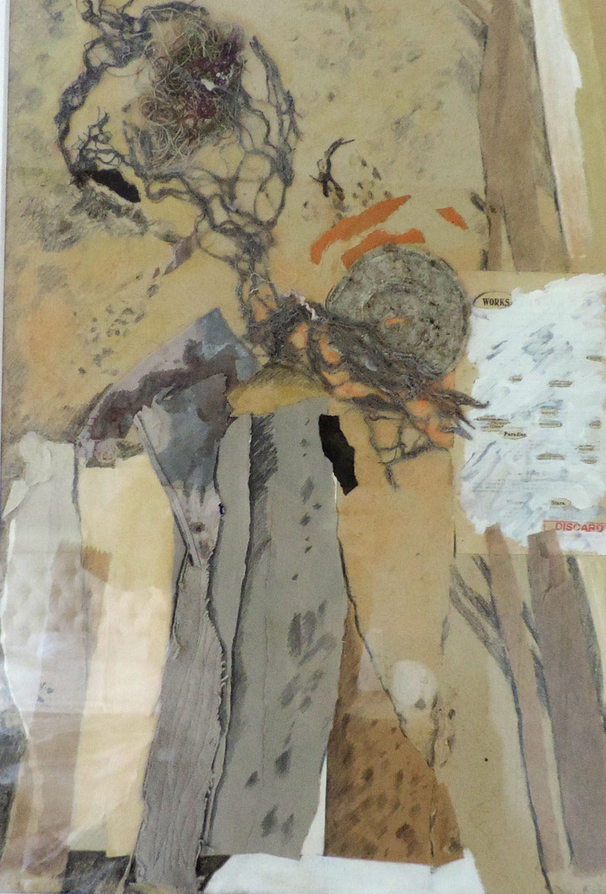 Deforestation by Diane Hall