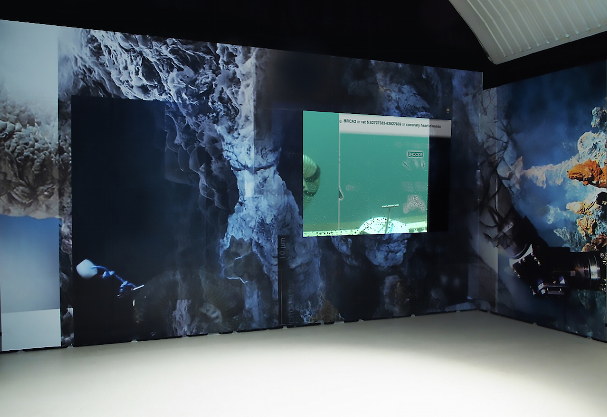 Joey Holder - P R O T E U S