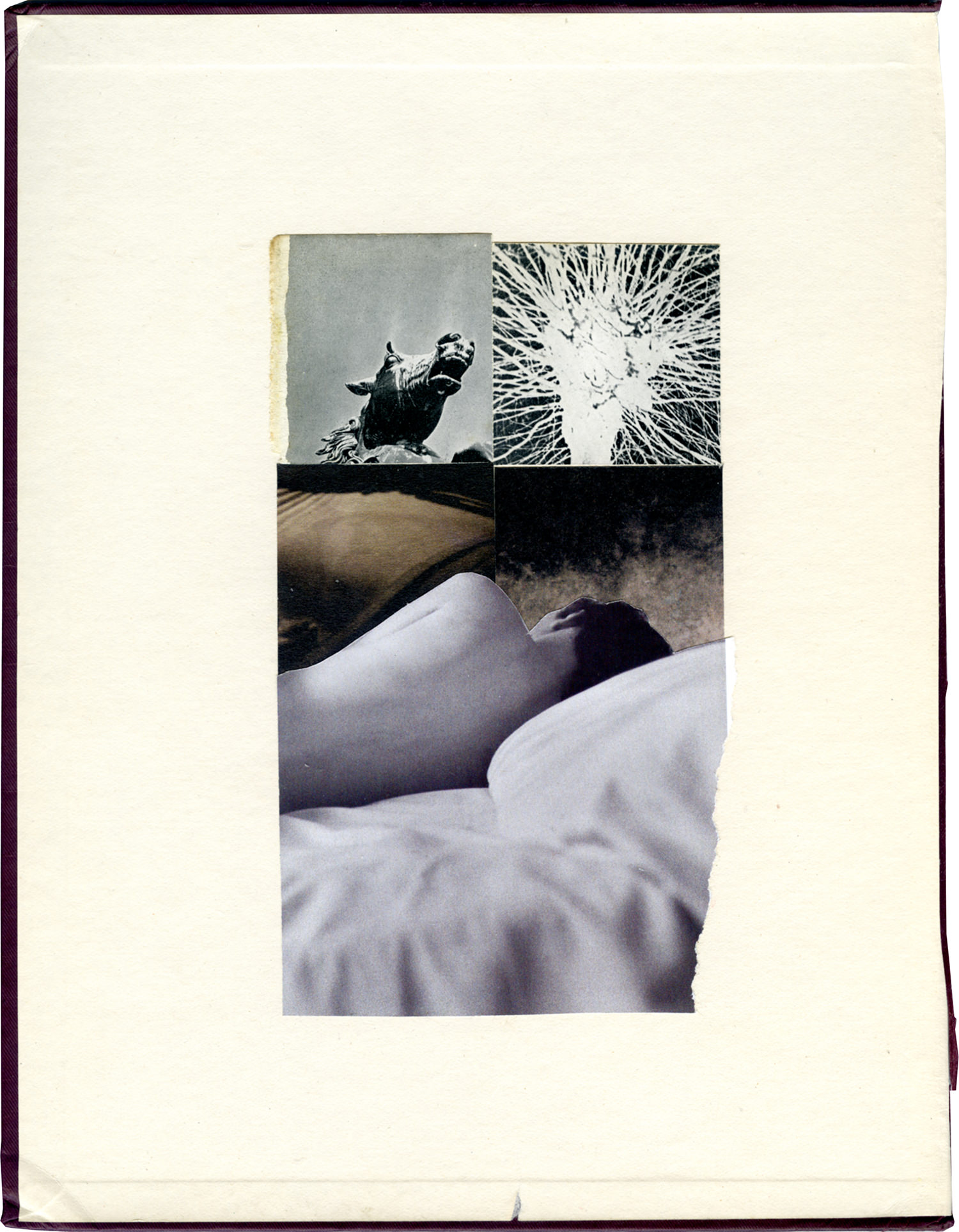 Mark Watkins, Dreamscape