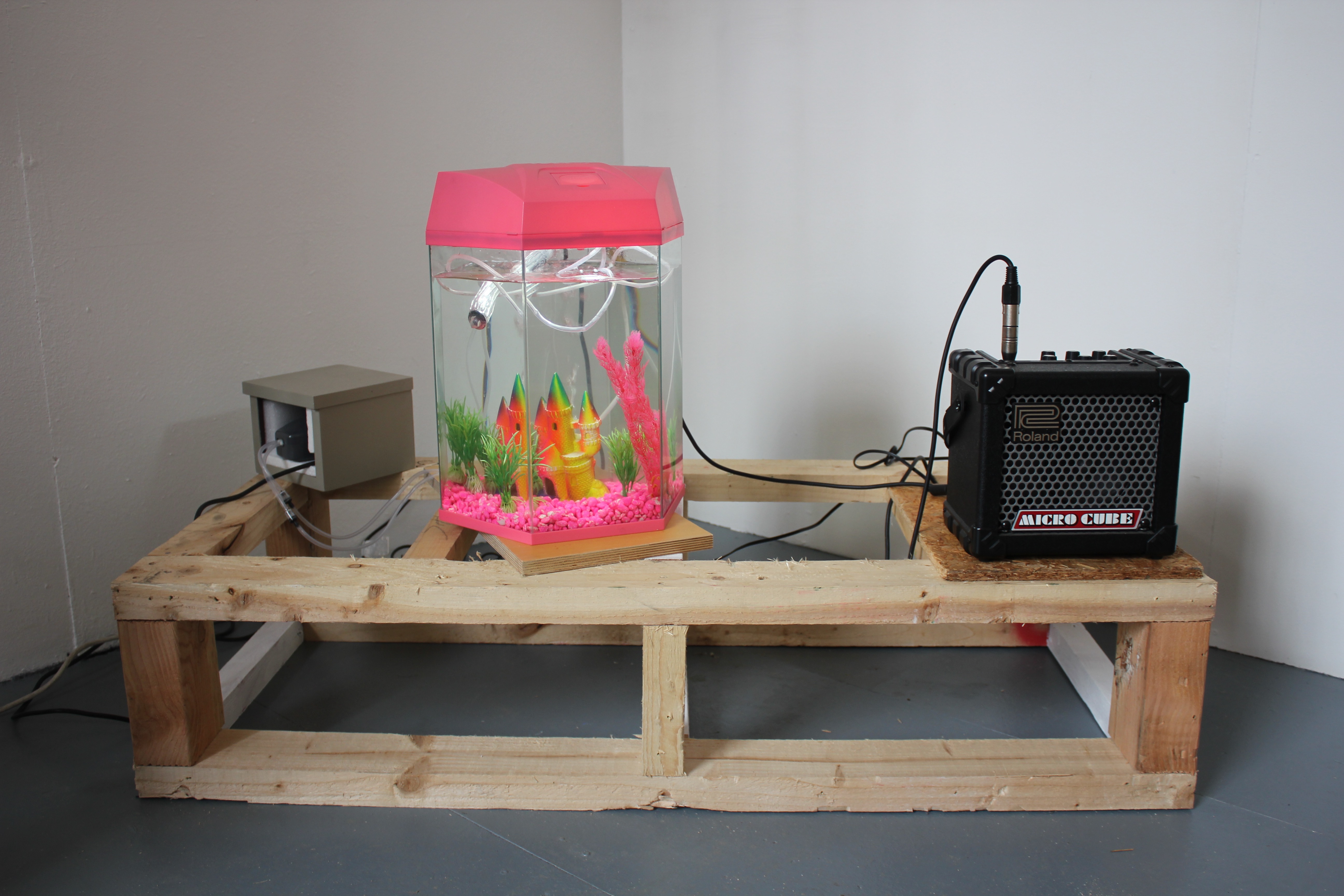 Chris Wright - While The Dogs Lie Sleeping, 2016