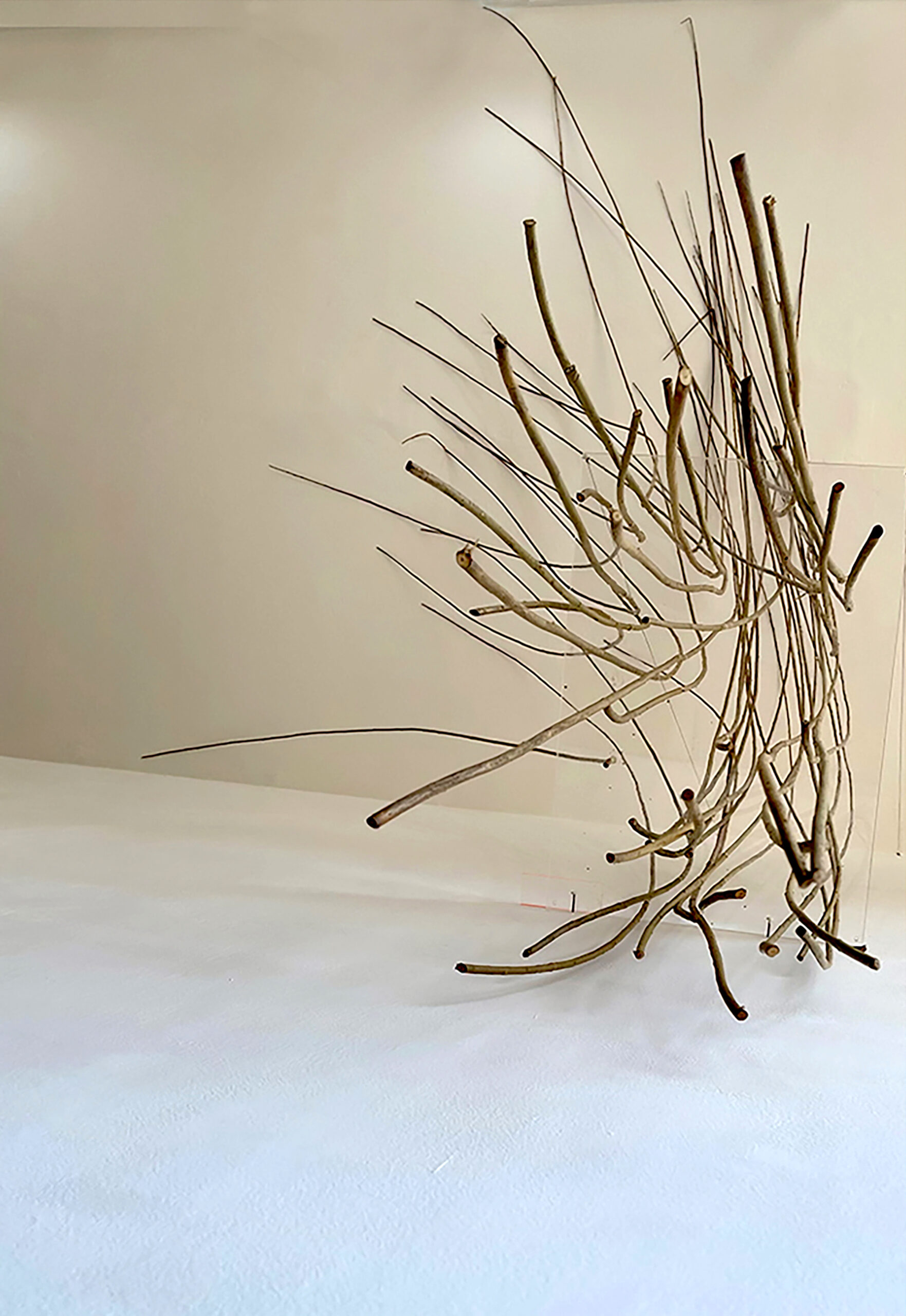 Fiona Carruthers, The Great Rehearsal (2022). Tension Fine Art, London