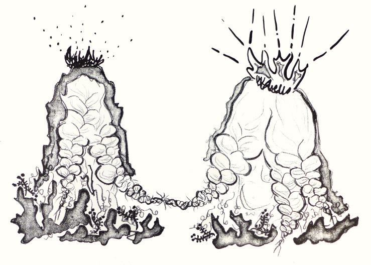 Nína Óskarsdóttir, Untitled, 2016