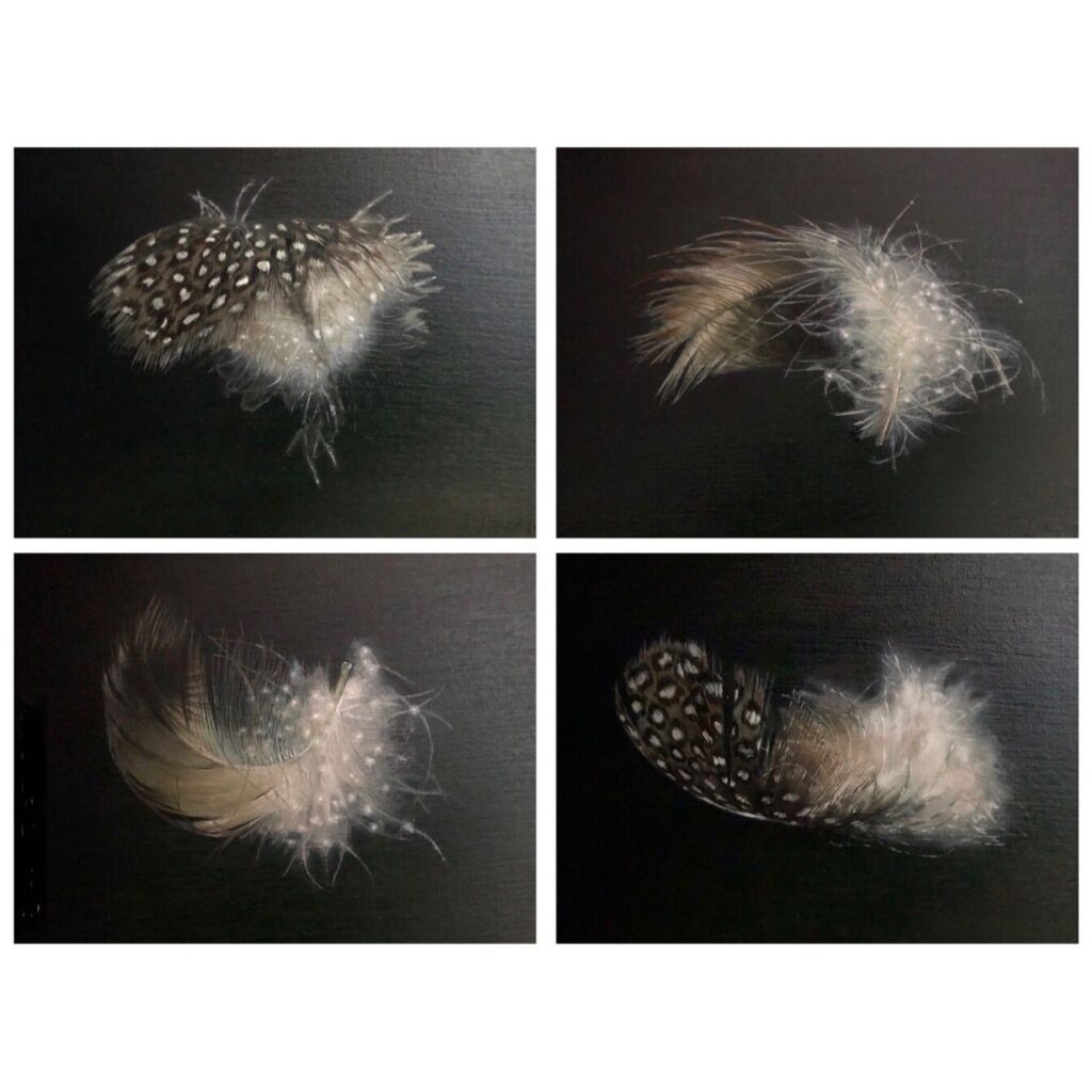 Anti-clockwise from top left: Feather I, Feather II, Feather III, Feather IV, Oil on board