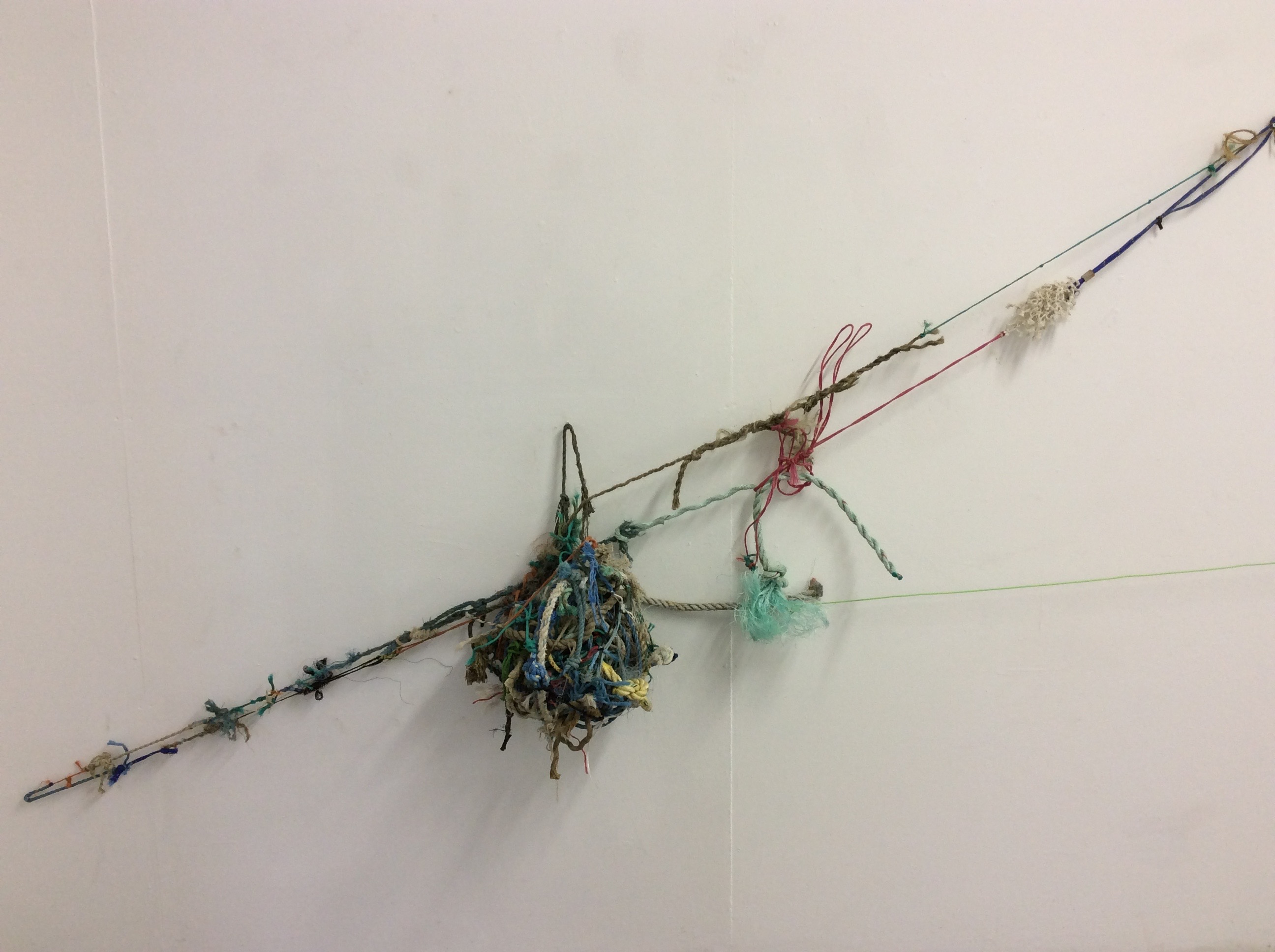 Chris Wright - Installation using collected knots, found over the last ten years