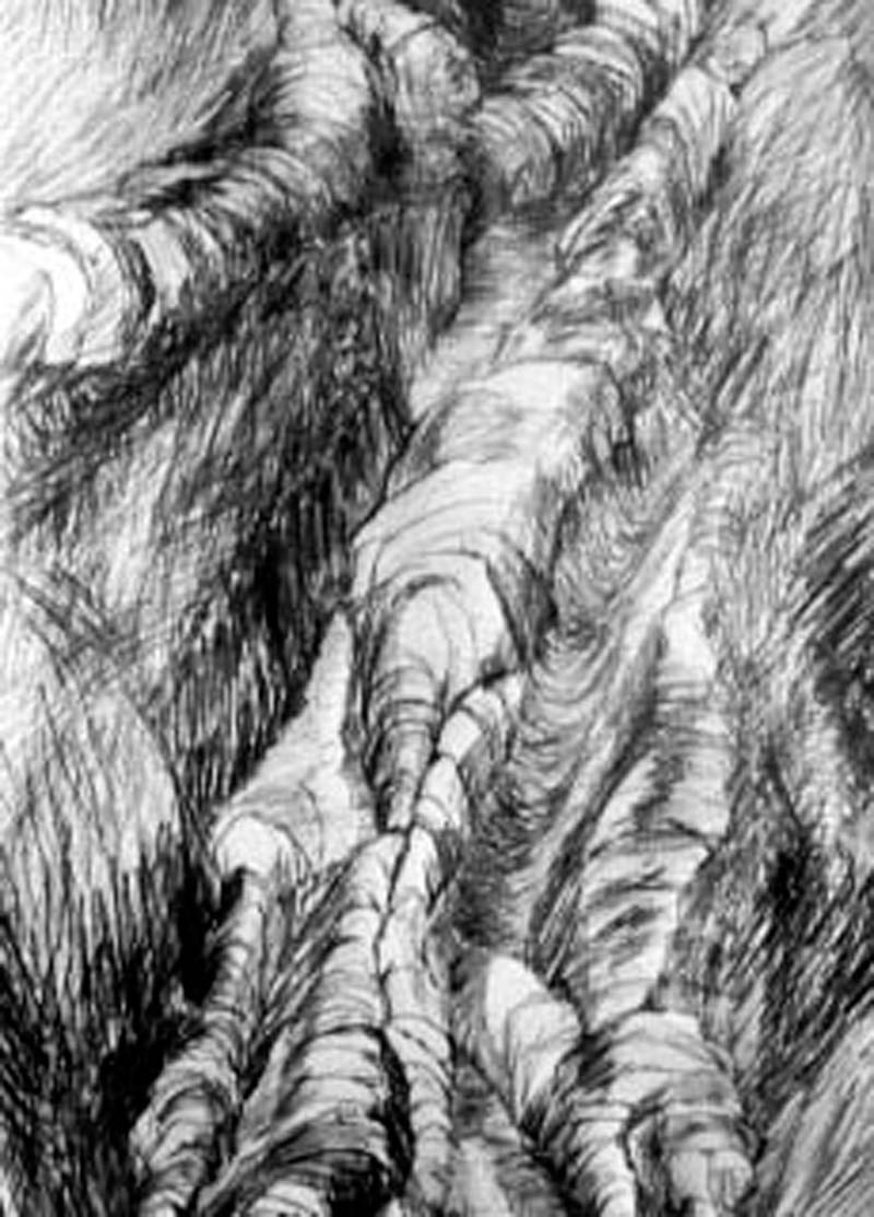 Tracks detail by Diane Hall