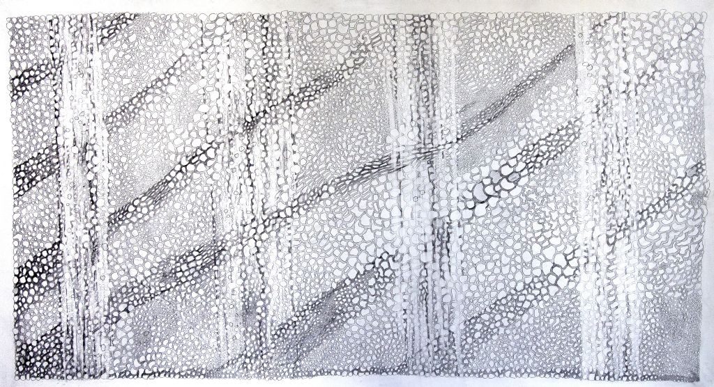 A Hundred Thousand Hopes