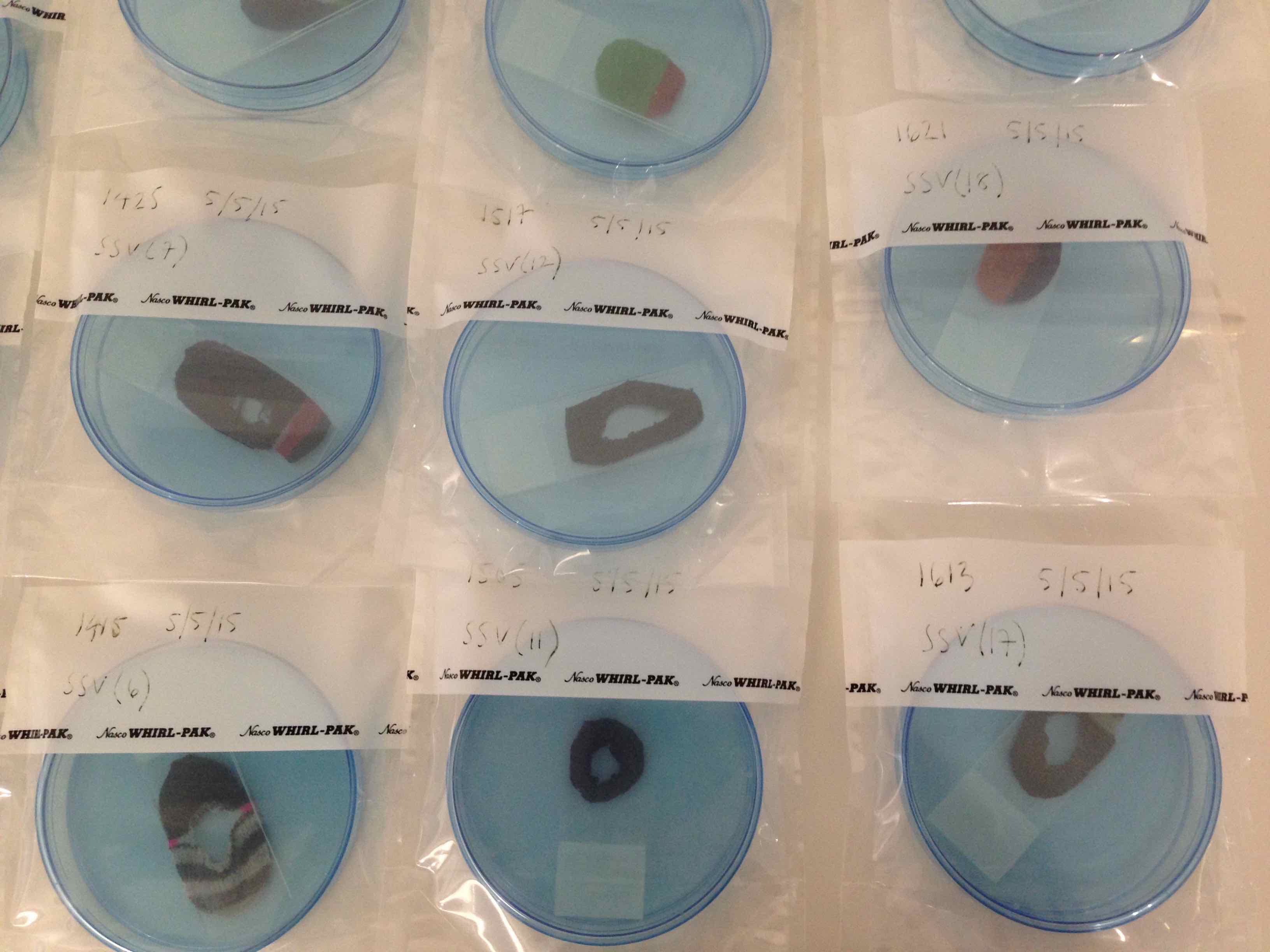 Sophie Cero, FAMILY VALUES