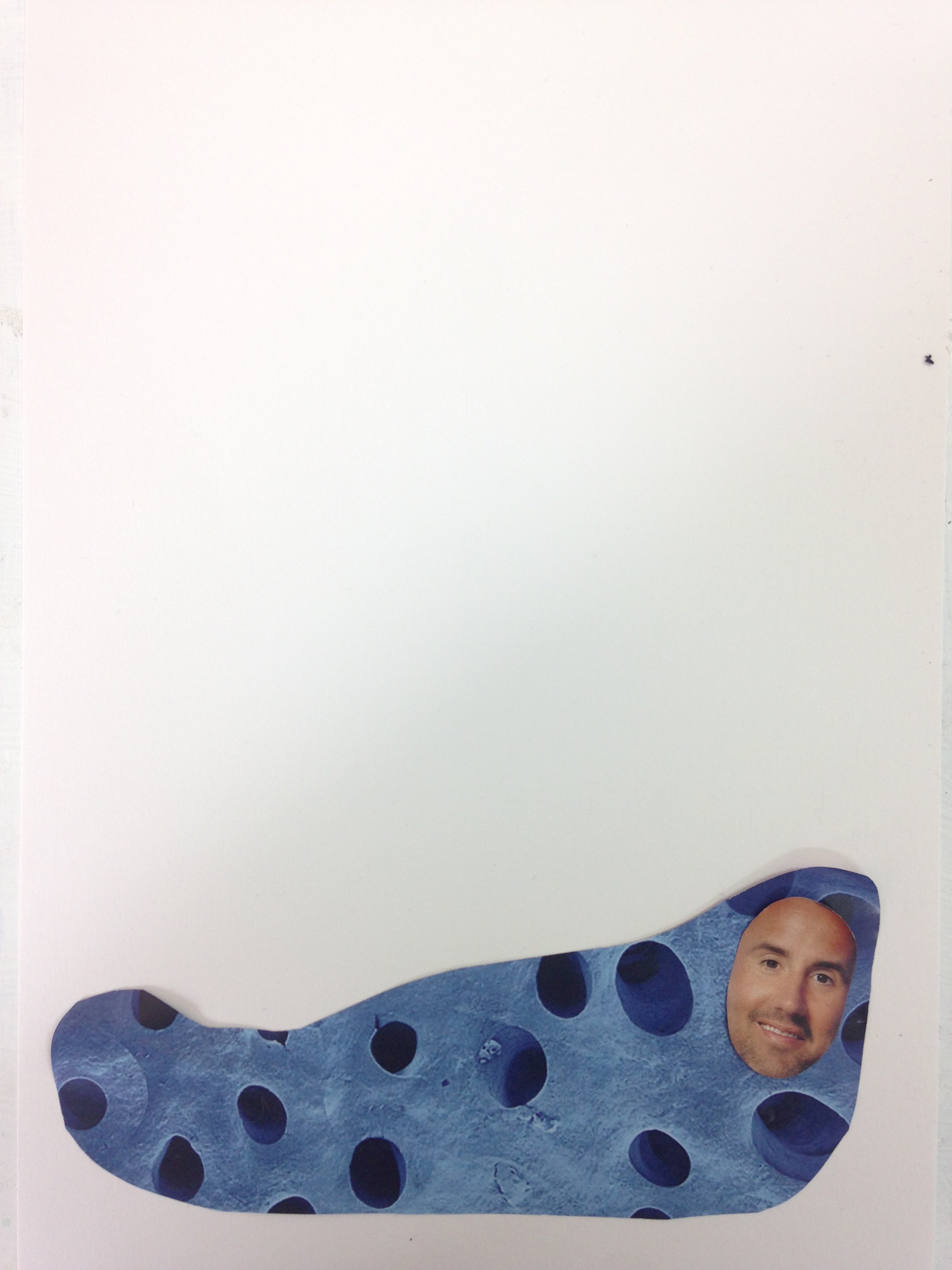 Laura McCafferty, Blobby Body Collage Series, 2017