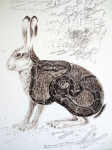 Kate Da'Casto Wolpertinger