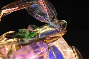 Ursula Rose Rae Explorations in Light and Space 2014