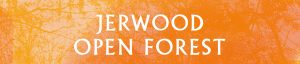 Jerwood Open Forest