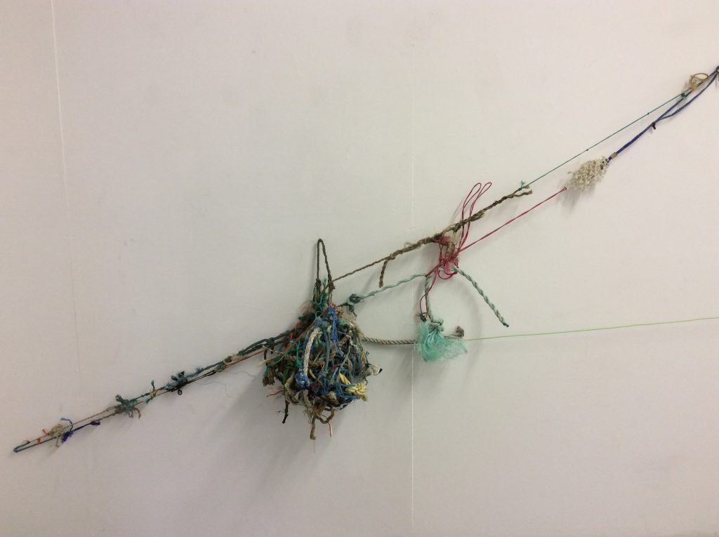 Chris Wright, Installation using collected knots, found over the last ten years