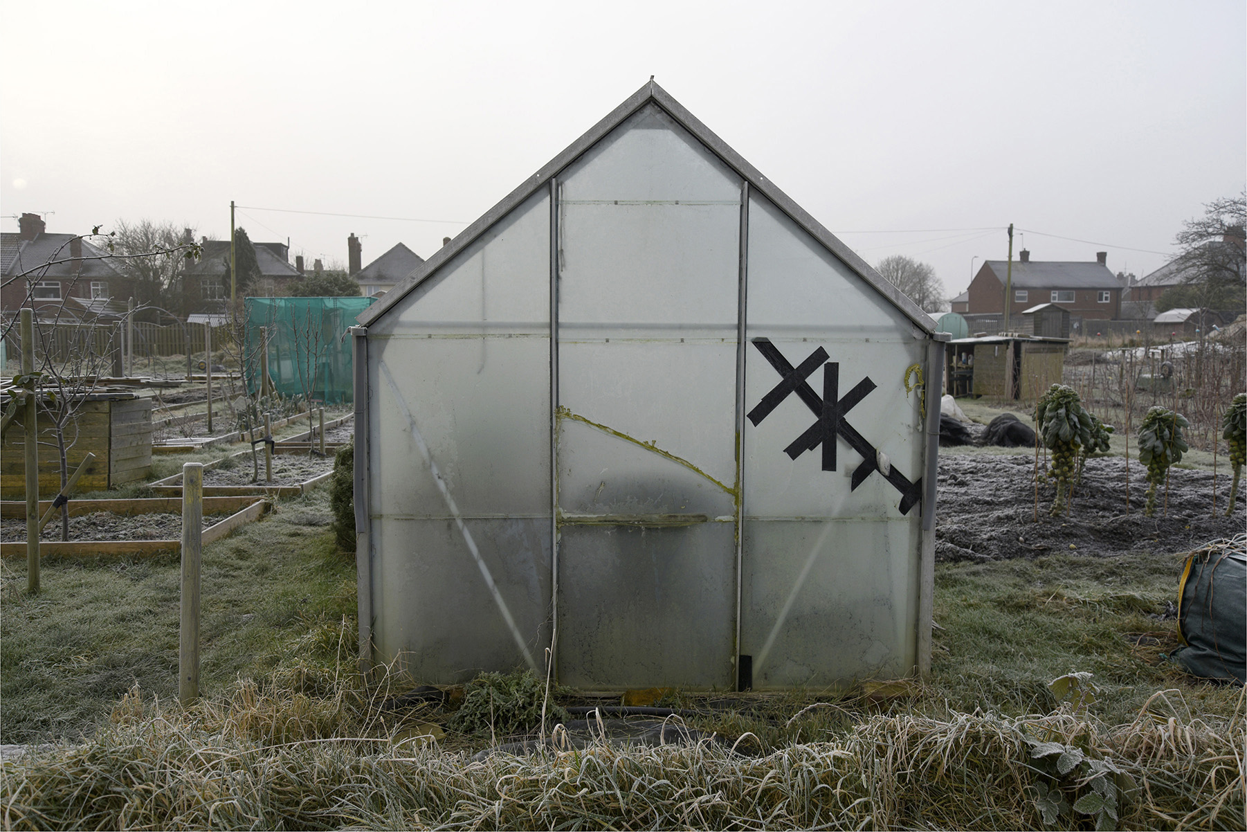 Lesley Farrell, Greenhouse, from the series Allotment Architecture, 2017
