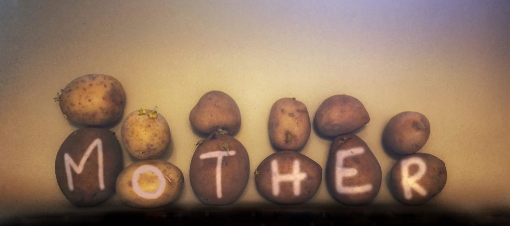 Tracey Kershaw, My Mother & Other Potato Peelers